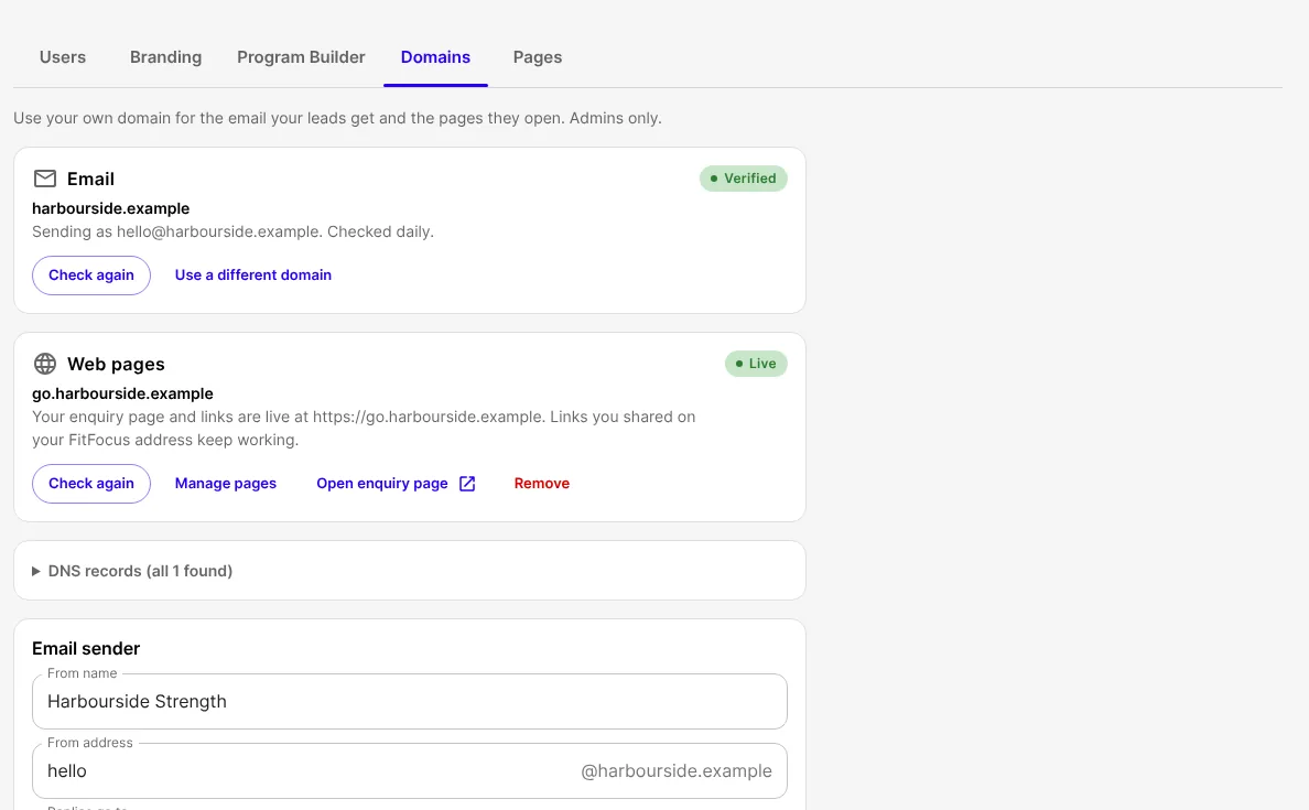 The Domains tab, with a verified email domain and a live web address